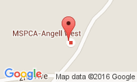 Angell Animal Medical Center West Location