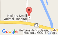 Hickory Small Animal Hospital Location