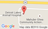 Detroit Lakes Animal Hospital Location