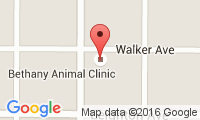 Bethany Animal Clinic Location