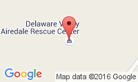 Airedale Rescue And Adoption Of The Delaware Valley Location