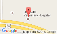 Hallsville Veterinary Hospital Location