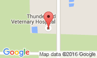 Thunderbird Veterinary Hospital Location
