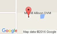 Merrill Allison Location