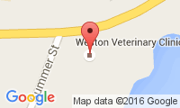 Weston Veterinary Clinic Location