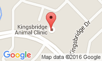 Kingsbridge Animal Clinic Location