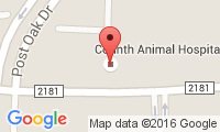 Corinth Animal Hospital Location