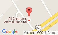 Granbury 377 Veterinary Center Location
