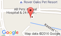 All Pets Animal Hospital Location
