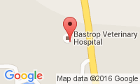 Bastrop Veterinary Hospital Location