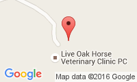 Live Oak Vet Clinic Location