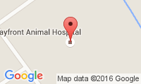 Bayfront Animal Hospital Location