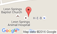 Veterinary Hospital Of Leon Springs Location