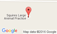 Squires Large Animal Practice Location