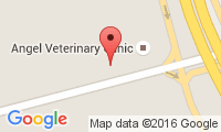 Angel Veterinary Clinic Location