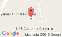 Hyannis Animal Hospital Location