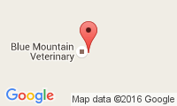Bluemountain Veterinary Hospital Location