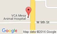 Mesa Veterinary Hospital Location