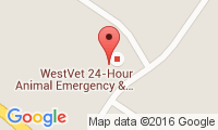 Westvet 24-Hour Animal Emergency & Specialty Cente Location