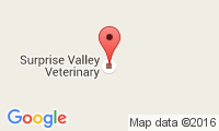 Surprise Valley Veterinary Location