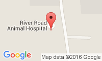 River Road Animal Hospital Location