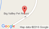 Big Valley Veterinary Services P.S Location