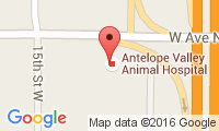 Antelope Valley Animal Hospital Location