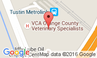 Veterinary Neurology Center Location