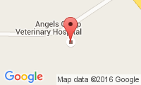 Angels Camp Veterinary Hospital Location