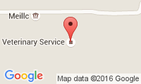 Veterinarian Service Location