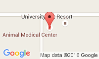Animal Medical Center Location