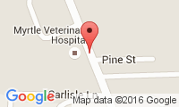 Myrtle Veterinary Hospital Location