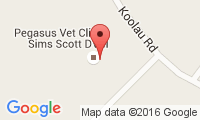 Pegasus Veterinary Clinic Location