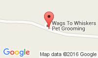 Wags To Whiskers Pet Grooming Location