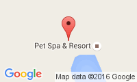 Pet Spa & Resort Location