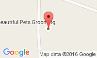 Beautiful Pets Grooming Location