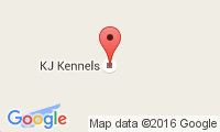 K J Kennels Dog Boarding Grooming Location