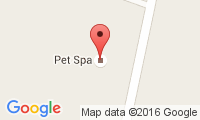 Absolutely Amazing Pet Spa Location