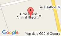 Halo House Location