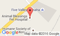 Animal Blessings Pet Hospital Location