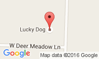 Lucky Dog Location