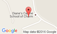Dianes School of Canine Charm Location