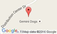 Gemini Dogs Location