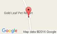 Gold Leaf Pet Resort Location