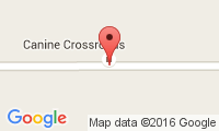 Canine Crossroads Location