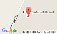 Five Points Pet Resort Location
