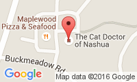 The Cat Doctor Location