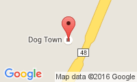 Dog Town NY Location