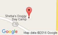 Sheba's Doggy Day Camp Location
