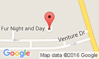 Fur Night and Day Location
